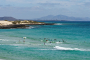 dsc07385_dxominim