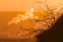 minidsc01234_dxom